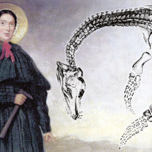 mary anning